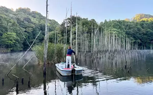 「吉田康雄のザ・チャレンジへらぶな【完デコのリベンジin片倉ダム#1】」の画像