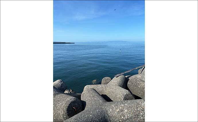 ライトショアジギング超入門（SLJ）メタルジグのフック（針）は沢山つければOK？