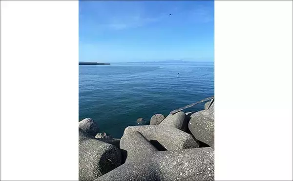 「ライトショアジギング超入門（SLJ）メタルジグのフック（針）は沢山つければOK？」の画像