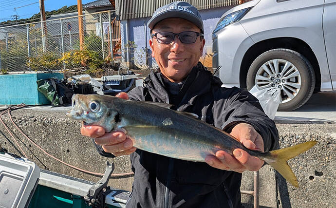 那智勝浦の天びん五目釣りで季節外れのウメイロが連発【和歌山】多彩な美味魚が続々