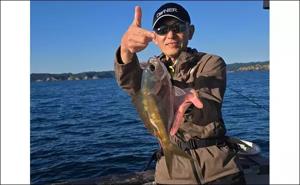 「那智勝浦の天びん五目釣りで季節外れのウメイロが連発【和歌山】多彩な美味魚が続々」の画像