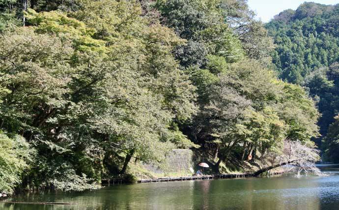 今週のヘラブナ推薦釣り場2025【埼玉・鎌北湖】