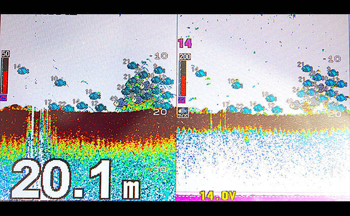 高砂沖マダイ釣りで2日連続本命キャッチ【兵庫】チョクリ仕掛けとタイラバいずれにもヒット