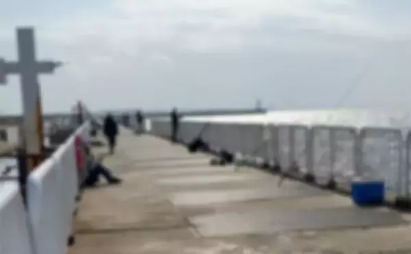 「「釣れた翌日は釣れない？」サゴシ爆釣の知らせでショアジギ釣行するも本命1本【大阪】」の画像