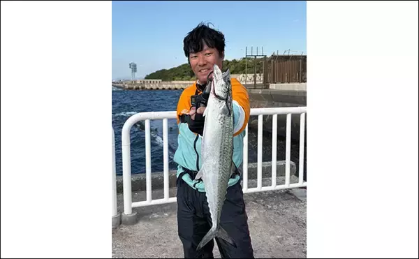 「「釣れた翌日は釣れない？」サゴシ爆釣の知らせでショアジギ釣行するも本命1本【大阪】」の画像