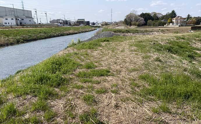 綾瀬川で挑むパンコイ釣り　警戒心マックスでも70cmオーバーのコイを手中！