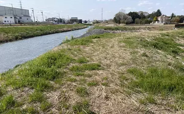 「綾瀬川で挑むパンコイ釣り　警戒心マックスでも70cmオーバーのコイを手中！」の画像