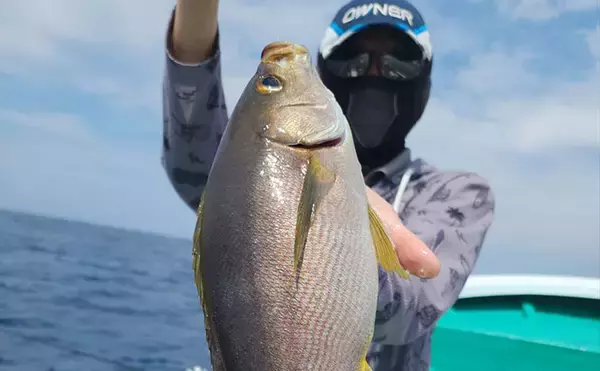 見老津での天びんカゴフカセ釣りでキンムロにジャンボイサギ好捕【黒龍丸・和歌山】