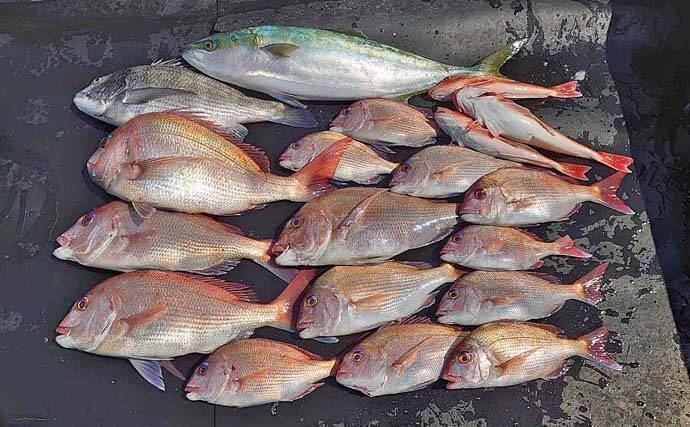 鳥羽沖タイラバ釣行で乗っ込みマダイ好捕【三重・丸安丸】ノリパターンが的中？