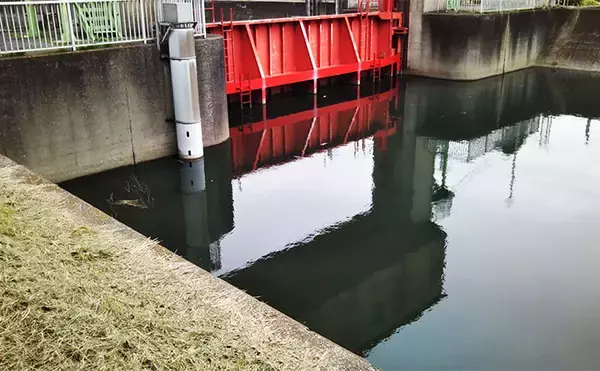 「「スモールルアーの可能性は無限大！」小型ルアーでセイゴやフッコの数釣りを楽しもう」の画像