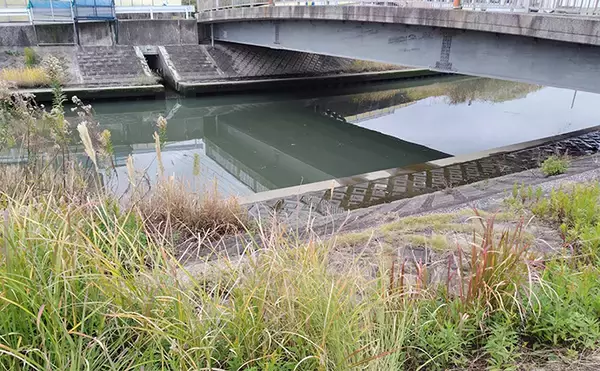 「「スモールルアーの可能性は無限大！」小型ルアーでセイゴやフッコの数釣りを楽しもう」の画像