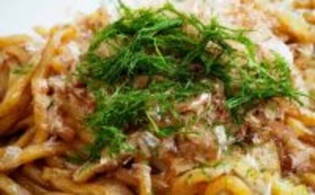 ブランド海苔「四万十川の青のり」に深刻な不漁続く　陸上養殖が対策の決め手か？