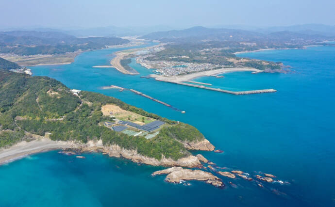 ブランド海苔「四万十川の青のり」に深刻な不漁続く　陸上養殖が対策の決め手か？