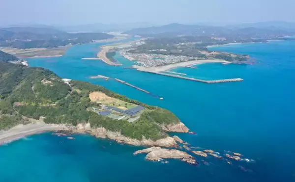 「ブランド海苔「四万十川の青のり」に深刻な不漁続く　陸上養殖が対策の決め手か？」の画像