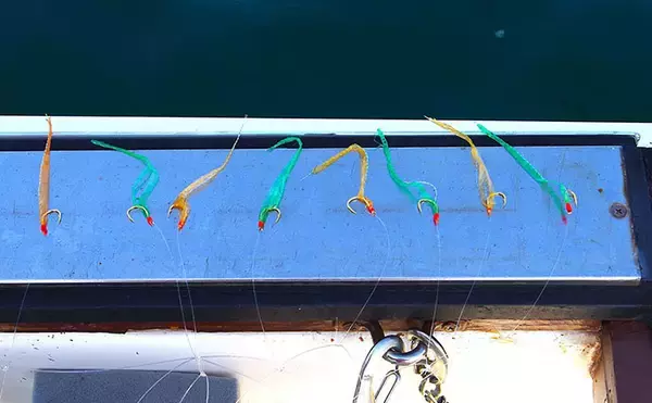 「チョクリ仕掛けのマダイ釣りが開幕！ 全長8m8本針の仕掛けで35cm級マダイ3匹【兵庫】」の画像