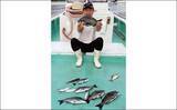 「【三重・愛知】海上釣り堀＆カカリ釣り最新釣果　67cmメガ大ダイ浮上」の画像3