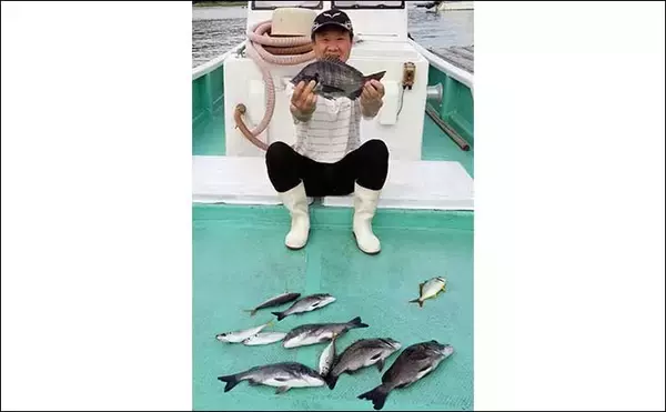 「【三重・愛知】海上釣り堀＆カカリ釣り最新釣果　67cmメガ大ダイ浮上」の画像