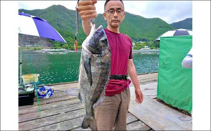 【三重・愛知】海上釣り堀＆カカリ釣り最新釣果　67cmメガ大ダイ浮上
