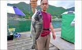 「【三重・愛知】海上釣り堀＆カカリ釣り最新釣果　67cmメガ大ダイ浮上」の画像5