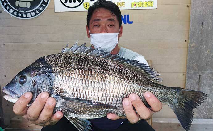 【三重・愛知】海上釣り堀＆カカリ釣り最新釣果　67cmメガ大ダイ浮上