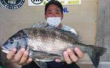 「【三重・愛知】海上釣り堀＆カカリ釣り最新釣果　67cmメガ大ダイ浮上」の画像7