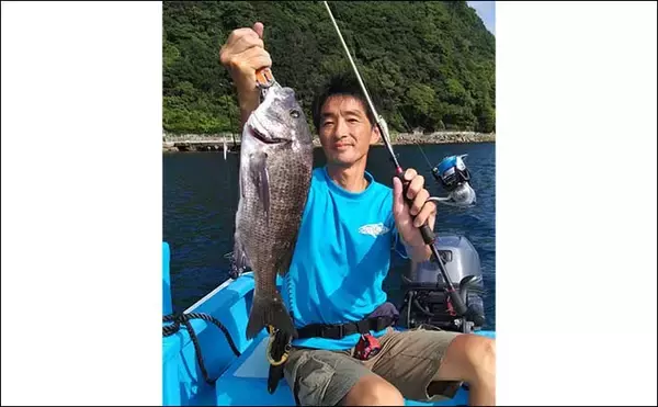 「沼津のボートルアー釣行でオオモンハタにショゴ　ライトタックルで堪能」の画像