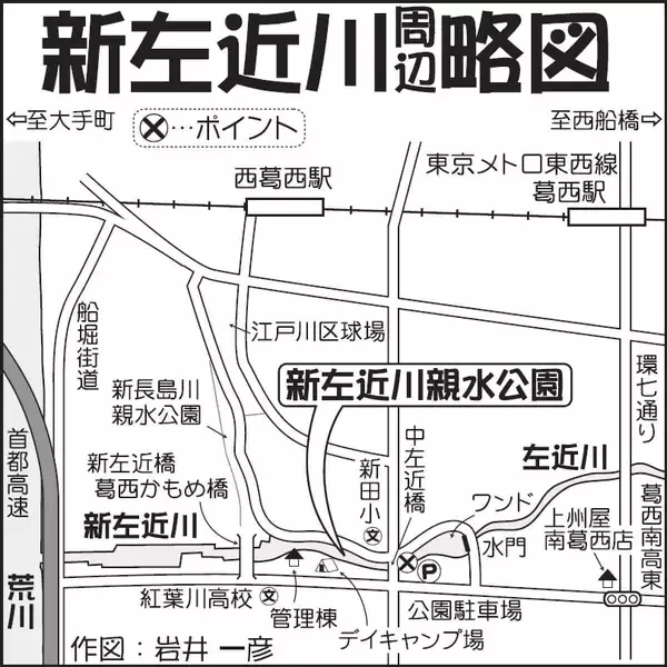 「東京23区の親水公園でハゼ釣り堪能　魚影濃厚で良型交え31尾手中」の画像
