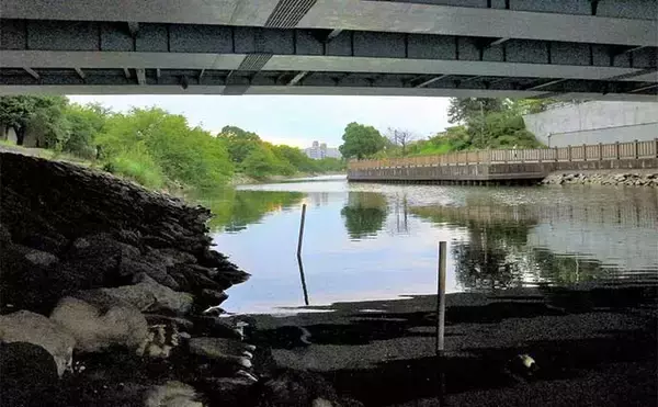 「東京23区の親水公園でハゼ釣り堪能　魚影濃厚で良型交え31尾手中」の画像