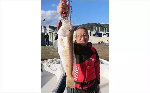 「レンタルボートでのシロアマダイ釣りで42cm頭に3匹【三重】 ゲストに良型イトヨリ」の画像