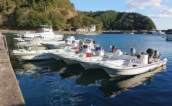 「レンタルボートでのシロアマダイ釣りで42cm頭に3匹【三重】 ゲストに良型イトヨリ」の画像