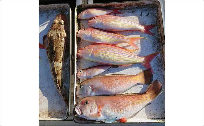 レンタルボートでのシロアマダイ釣りで42cm頭に3匹【三重】 ゲストに良型イトヨリ