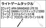 「仕事終わりのアジング釣行で20cm超えアジ手中【北九州】ドリフト釣法が的中」の画像2