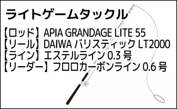 「仕事終わりのアジング釣行で20cm超えアジ手中【北九州】ドリフト釣法が的中」の画像