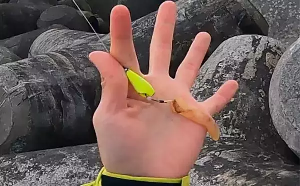 「穴釣りで26.6cmの大型カサゴをキャッチ【三重・鈴鹿】ブラクリ仕掛けで挑戦」の画像