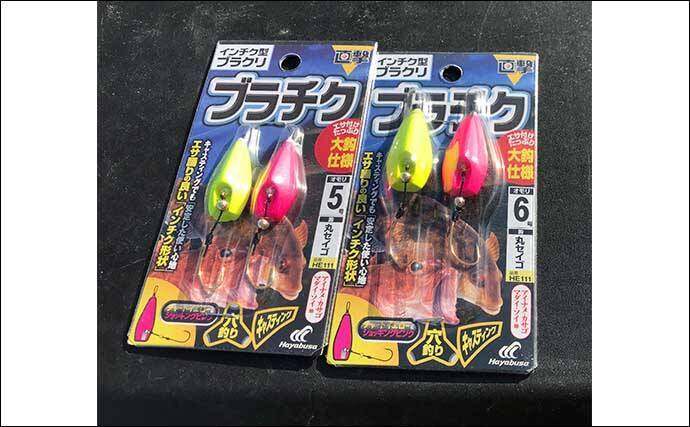 穴釣りで26.6cmの大型カサゴをキャッチ【三重・鈴鹿】ブラクリ仕掛けで挑戦