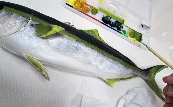 「釣ったハマチで剥製作りに挑戦　時間はかかるが達成感は相当なもの」の画像