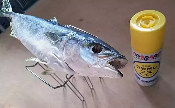 「釣ったハマチで剥製作りに挑戦　時間はかかるが達成感は相当なもの」の画像