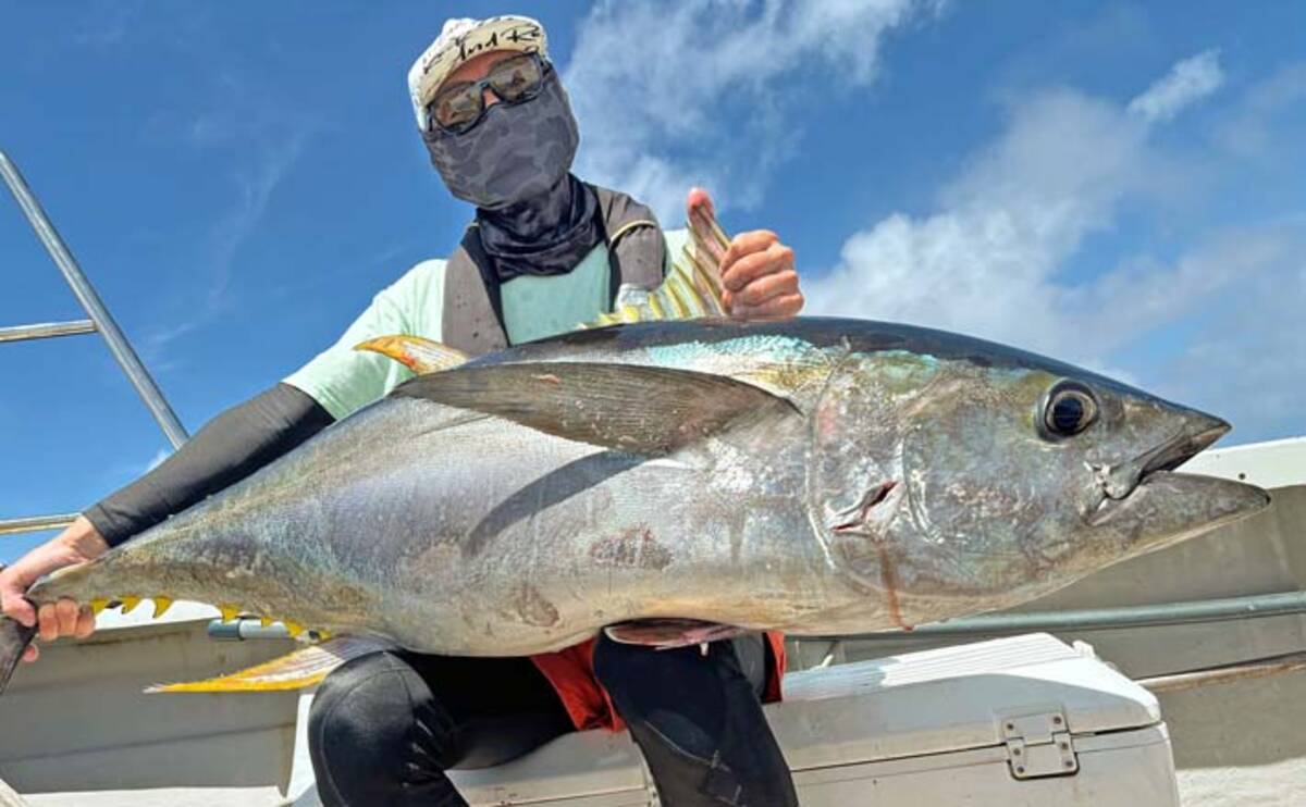 37kgメバチマグロ浮上！」志摩沖パヤオジギングでツナ3種盛りを達成 