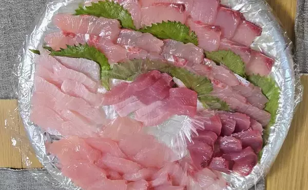 「シーズン初の船落とし込み釣りで8kg級ヒラマサを手中【佐賀】微風快晴の好条件で大型ヒット」の画像