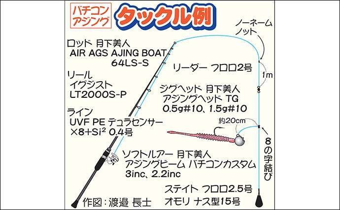 22年 東京湾バチコンアジング入門 タックル 仕掛け 釣り方 22年4月14日 エキサイトニュース