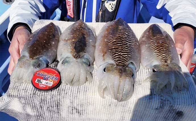 泳がせ釣りで青物にヒラメにハタと美味魚揃い踏み【愛知】船釣り最新釣果