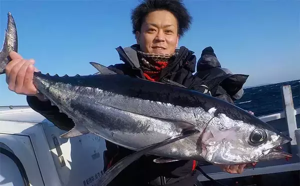 「泳がせ釣りで青物にヒラメにハタと美味魚揃い踏み【愛知】船釣り最新釣果」の画像