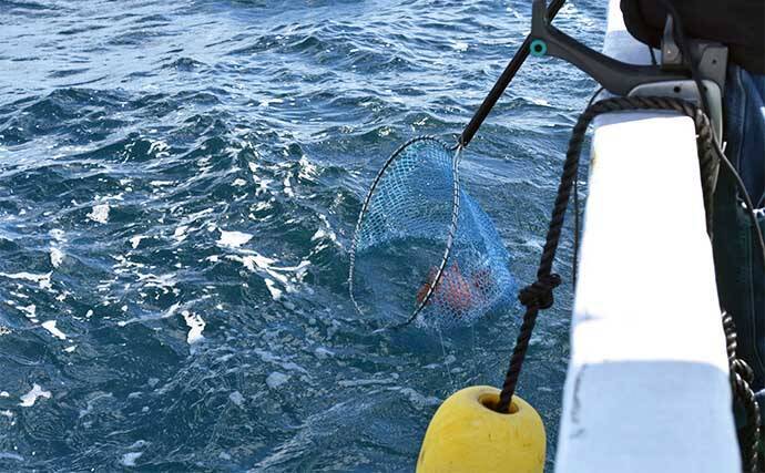 中深海の根魚五目釣りで50cm級頭に良型ウッカリカサゴが連発【三重・なぎさ丸】