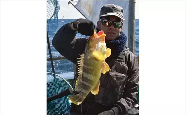 「中深海の根魚五目釣りで50cm級頭に良型ウッカリカサゴが連発【三重・なぎさ丸】」の画像