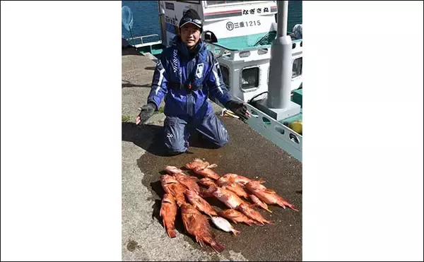 「中深海の根魚五目釣りで50cm級頭に良型ウッカリカサゴが連発【三重・なぎさ丸】」の画像