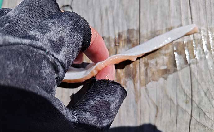 中深海の根魚五目釣りで50cm級頭に良型ウッカリカサゴが連発【三重・なぎさ丸】