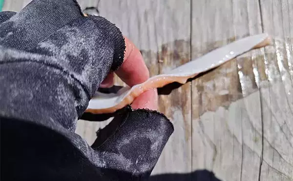 「中深海の根魚五目釣りで50cm級頭に良型ウッカリカサゴが連発【三重・なぎさ丸】」の画像