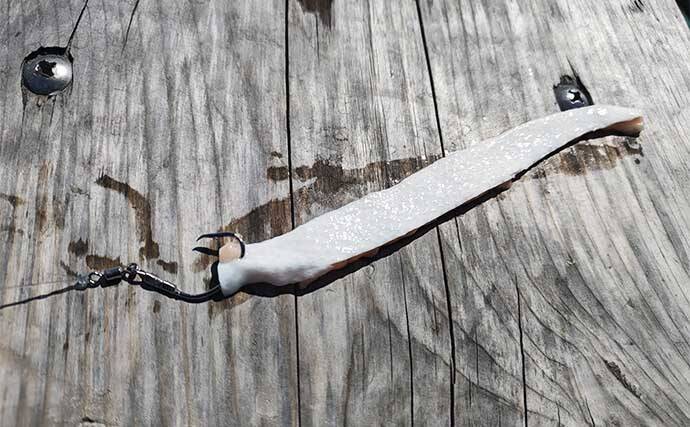 中深海の根魚五目釣りで50cm級頭に良型ウッカリカサゴが連発【三重・なぎさ丸】