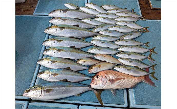 【沖釣り釣果速報】玄界灘の落とし込み釣り好調！10kg級ヒラマサ＆ワラサ爆釣（福岡）