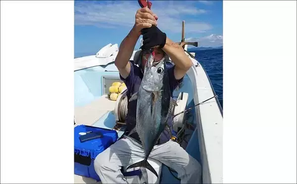 「【沖釣り釣果速報】玄界灘の落とし込み釣り好調！10kg級ヒラマサ＆ワラサ爆釣（福岡）」の画像